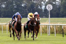 Race 5 - Mankib (2)