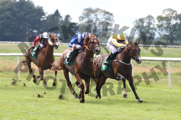 Race 5 - Mankib (3)