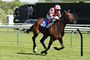 Race 5 - Manorah (4)