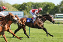 Race 5 - Manorah (8)