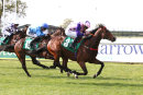 Race 5 - Melabi (10)