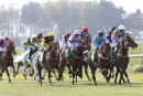 Race 5 - Melabi (6)