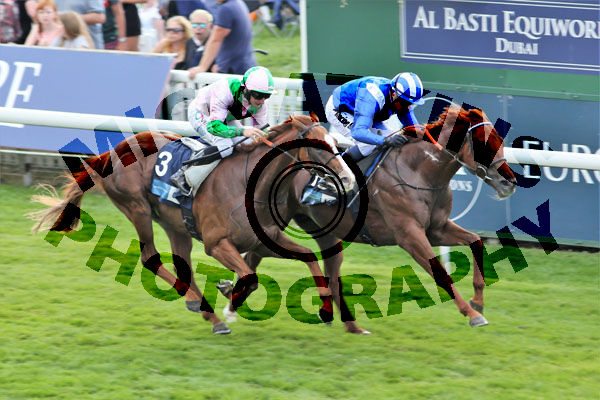 Race 5 - Molatham (3)