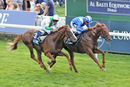 Race 5 - Molatham (3)