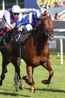 Race 5 - Molatham (2)