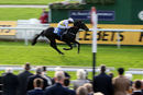 Race 5 - Moss Gill (3)