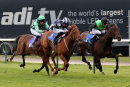 Race 5 - Mouille Point (14)