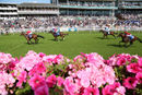 Race 5 - Mrs Bouquet (4)