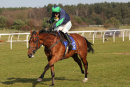 Race 5 - Must Havea Flutter (11) 3