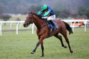 Race 5 - Must Havea Flutter (6)