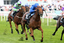 Race 5 - New KIngdom (4)