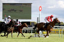 Race 5 - Night Bear (6)