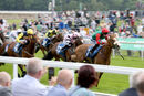 Race 5 - Northern Express (3)