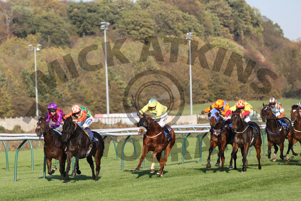 Race 5 - Ocelot (3)