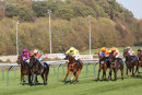 Race 5 - Ocelot (3)