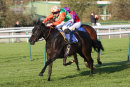 Race 5 - Ocelot (5)