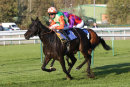 Race 5 - Ocelot (6)