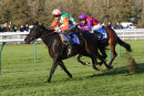 Race 5 - Ocelot (8)