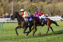 Race 5 - Ocelot (9)