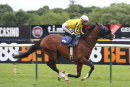 Race 5 - Olympic Odyssey (6)