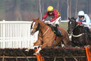 Race 5 - One True King (4)