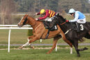 Race 5 - One True King (6)