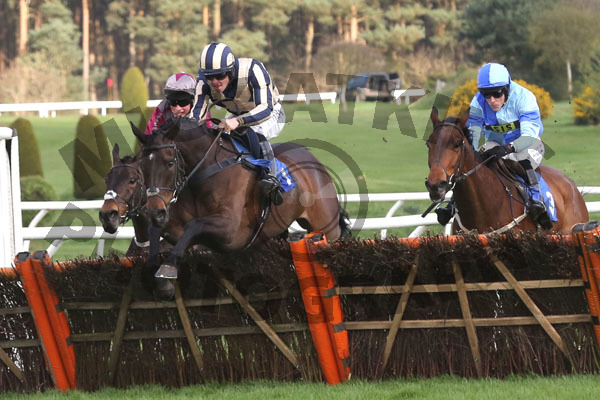 Race 5 - Otter Moon (4)