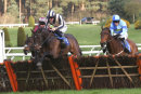Race 5 - Otter Moon (4)