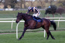 Race 5 - Otter Moon (8)