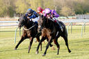 Race 5 - Peerless (7)