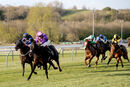 Race 5 - Peerless (8)