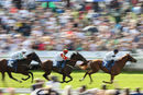 Race 5 - Platform Nineteen (2)