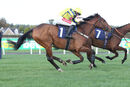 Race 5 - Porticello (8)