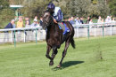 Race 5 - Prefontaine (6)