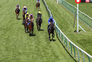 Race 5 - Prince Of Harts (11)