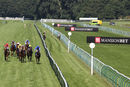 Race 5 - Prince Of Harts (3)