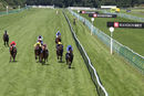 Race 5 - Prince Of Harts (4)