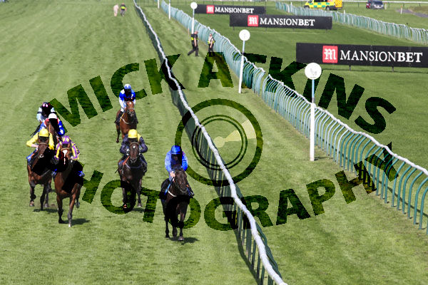 Race 5 - Prince Of Harts (5)