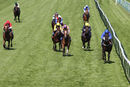 Race 5 - Prince Of Harts (6)