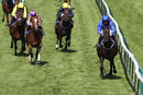 Race 5 - Prince Of Harts (8)