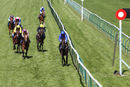 Race 5 - Prince Of Harts (9)