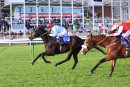 Race 5 - Quick Look (6)
