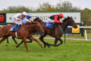 Race 5 - Reaver (11)