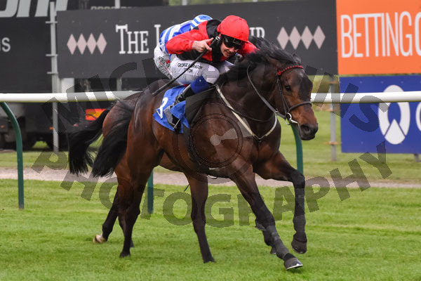 Race 5 - Reaver (6)