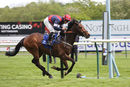 Race 5 - Regular Income (5)