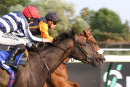 Race 5 - Reveleon (10)