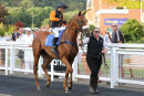 Race 5 - Reveleon (2)