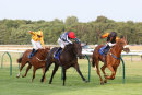 Race 5 - Reveleon (3)