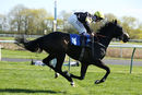 Race 5 - Rise Hall (12)