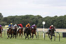 Race 5 - Roman Mist (2)